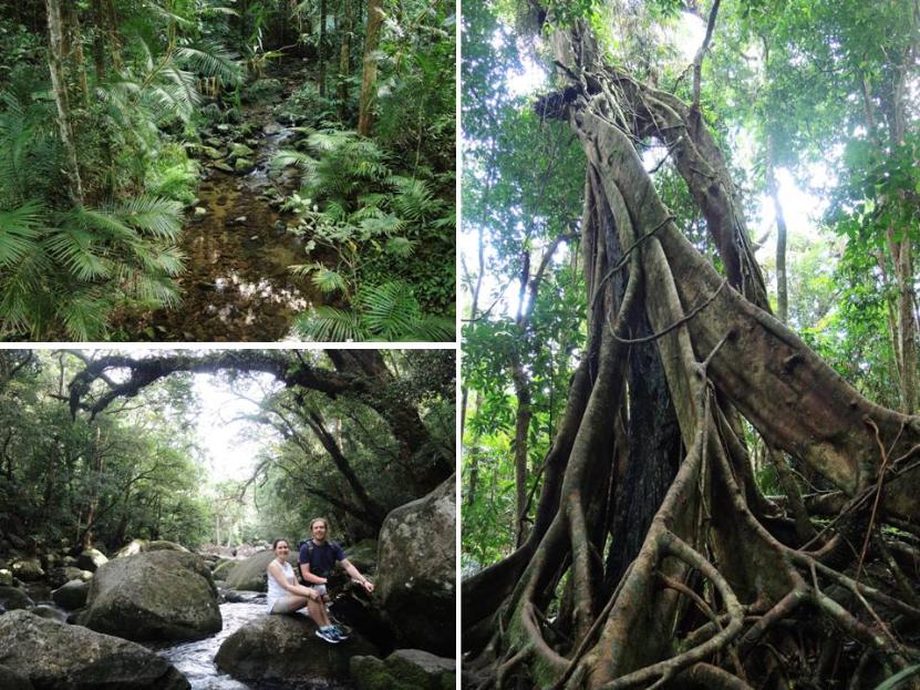 Mossman Gorge Queensland Travel Blog