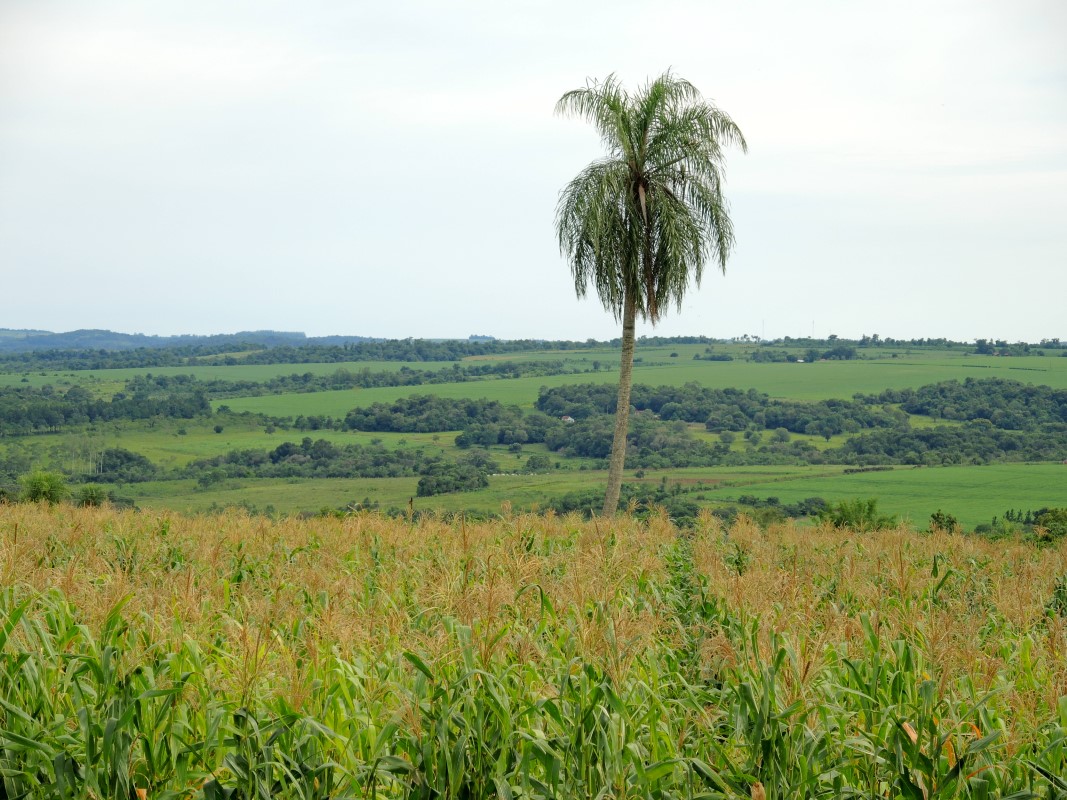 Paraguay Photos
