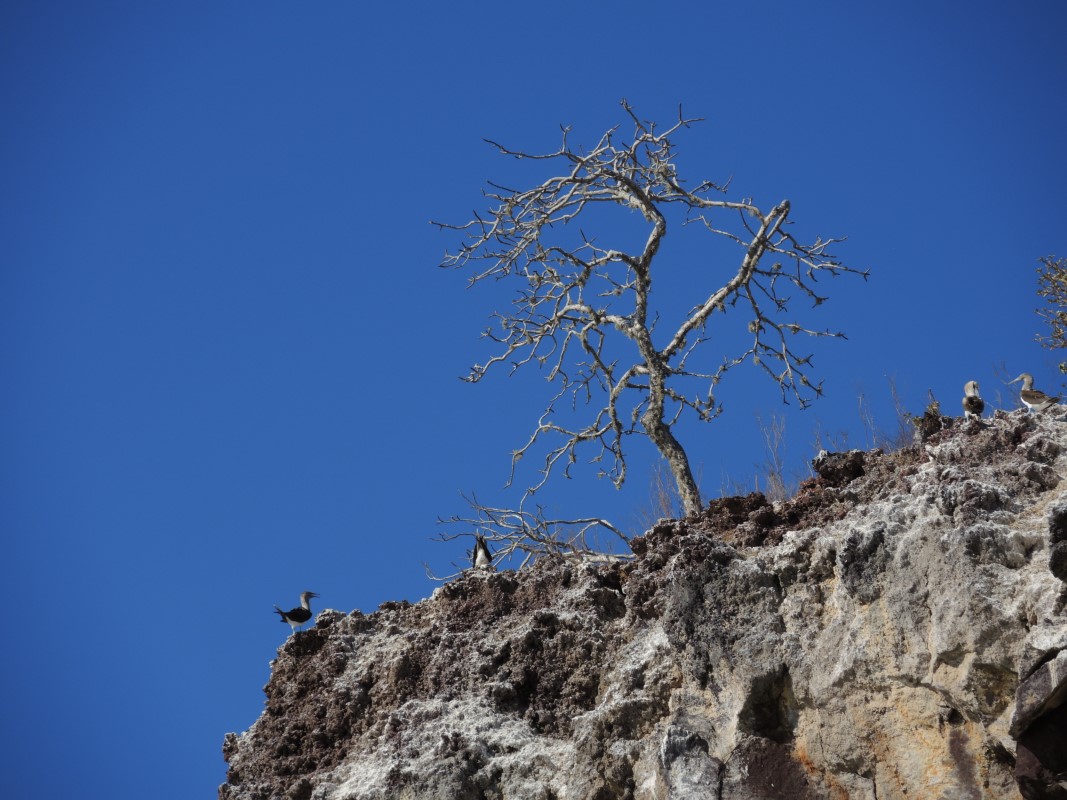 Galapagos Islands Photos