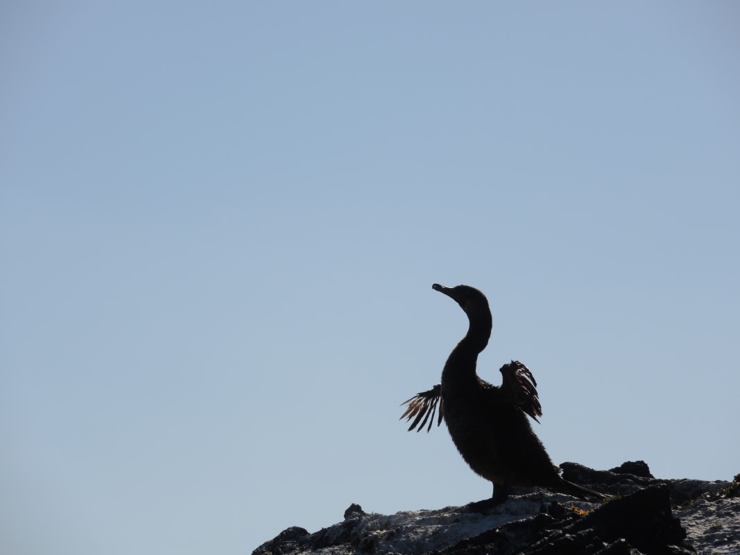 Galapagos Islands Photos