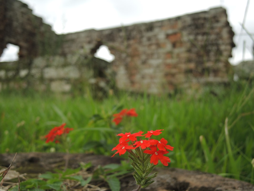 Paraguay Photos