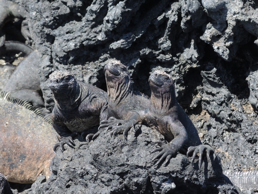 Galapagos Islands Photos