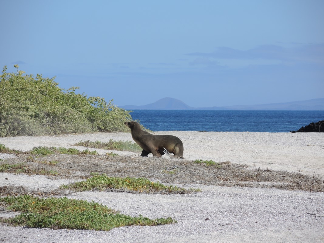 Galapagos Islands Photos