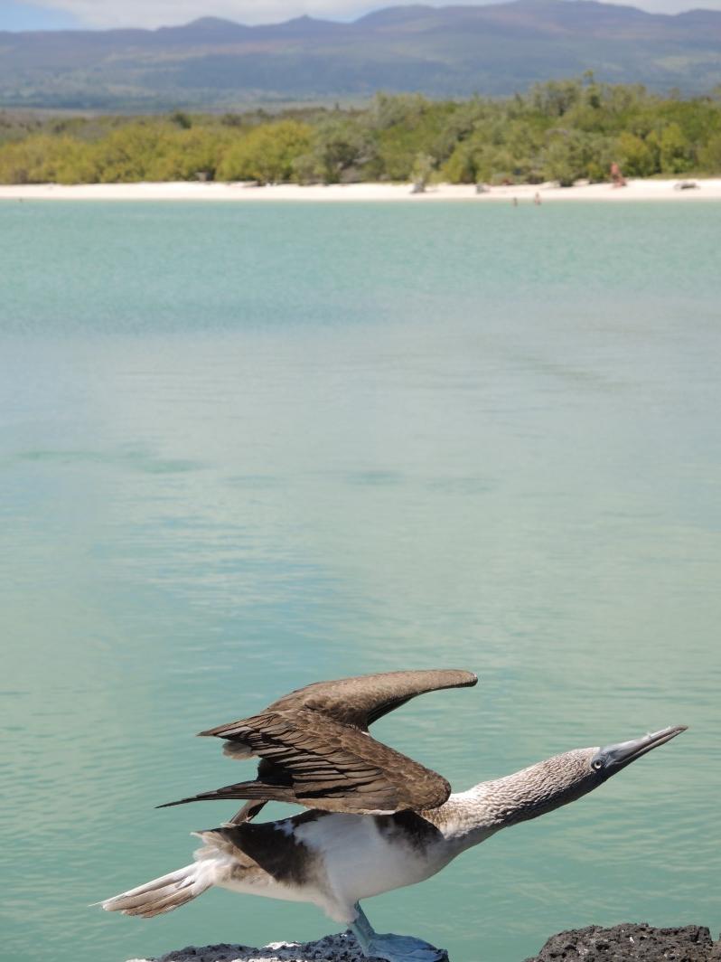 Galapagos Islands Photos