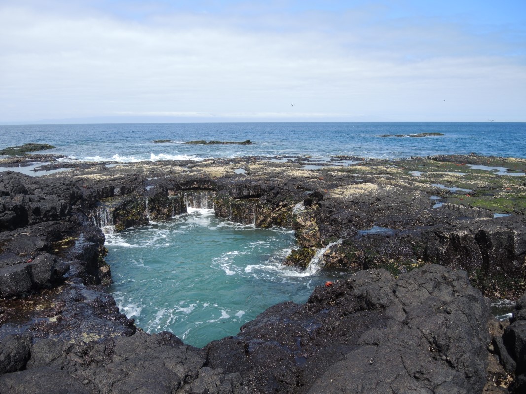 Galapagos Islands Photos