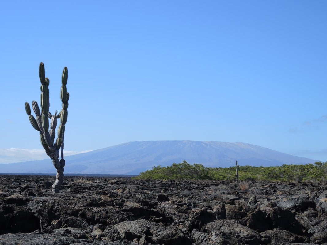 Galapagos Islands Photos