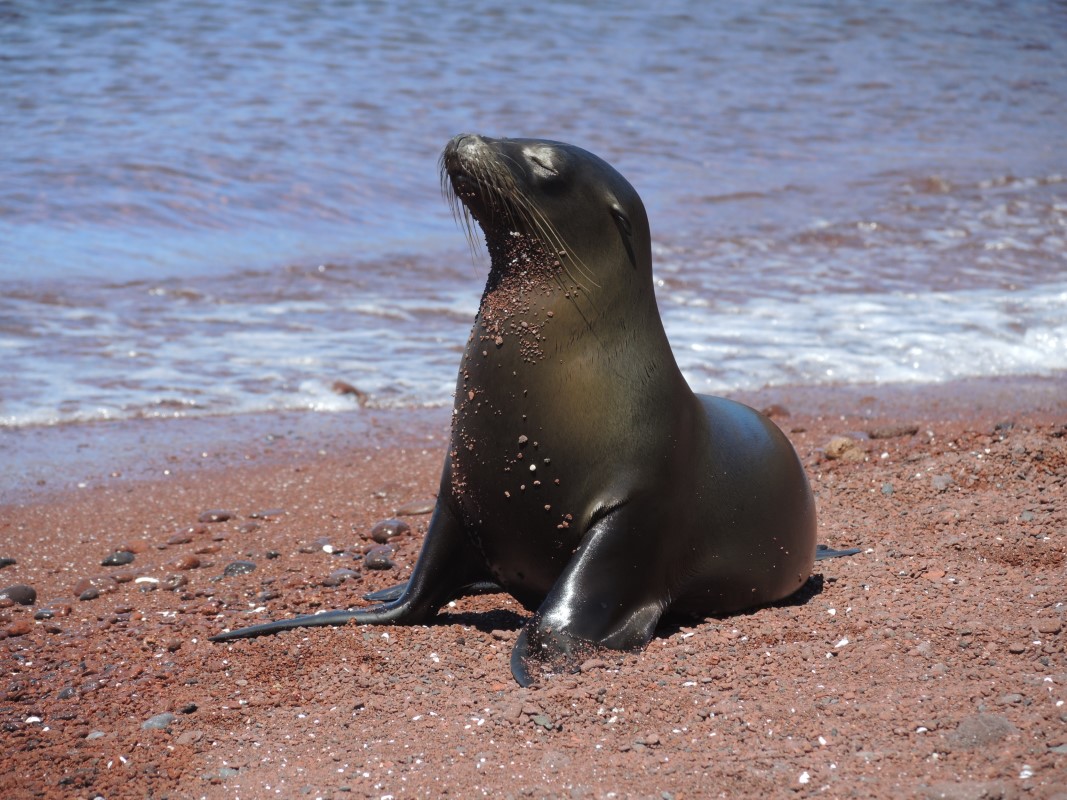 Galapagos Islands Photos