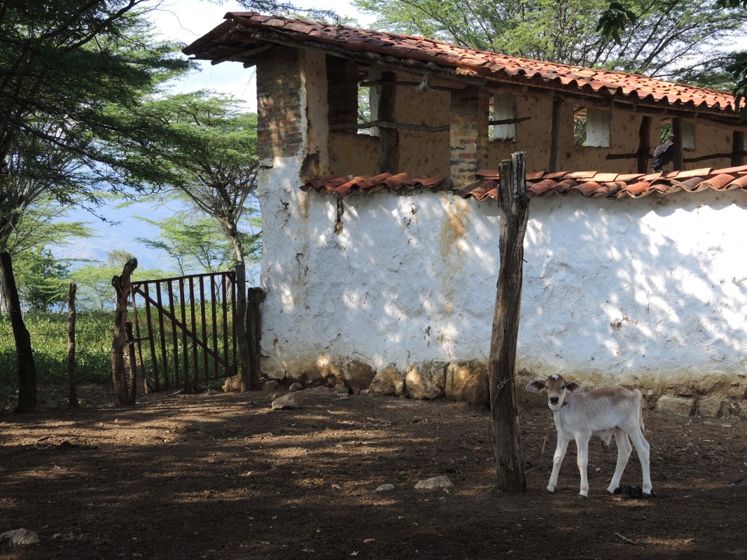 Colombia Photos