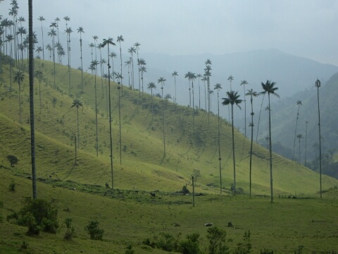 Colombia Photos