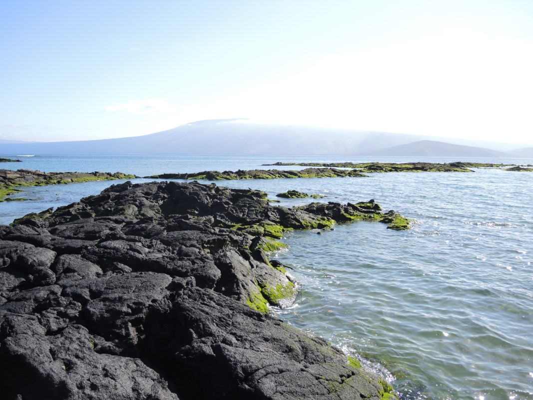 Galapagos Islands Photos