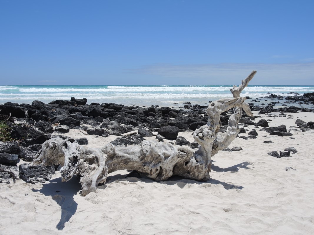 Galapagos Islands Photos