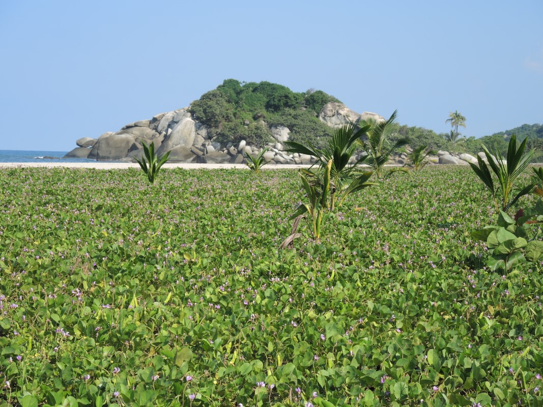Colombia Photos