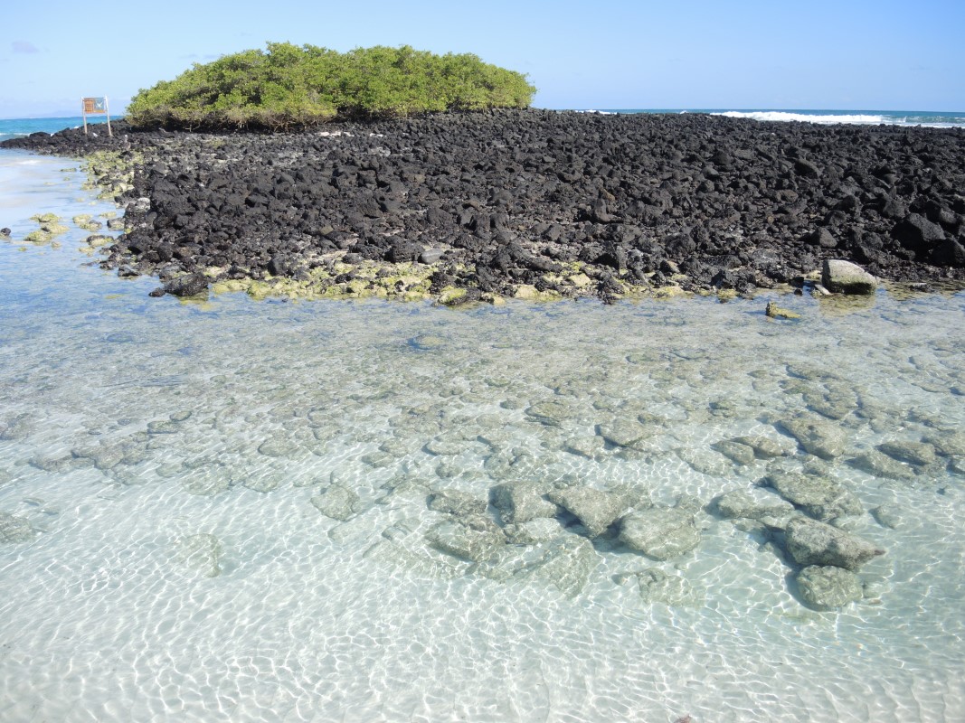 Galapagos Islands Photos