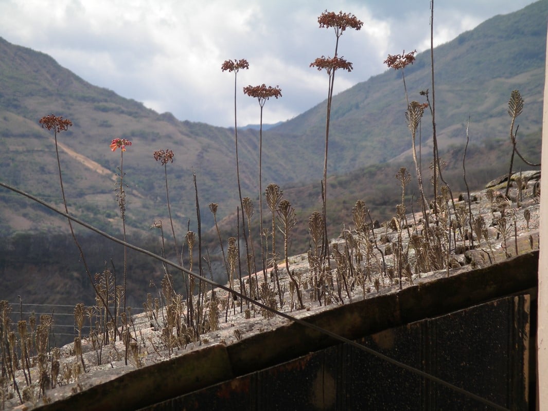 Ecuador Photos