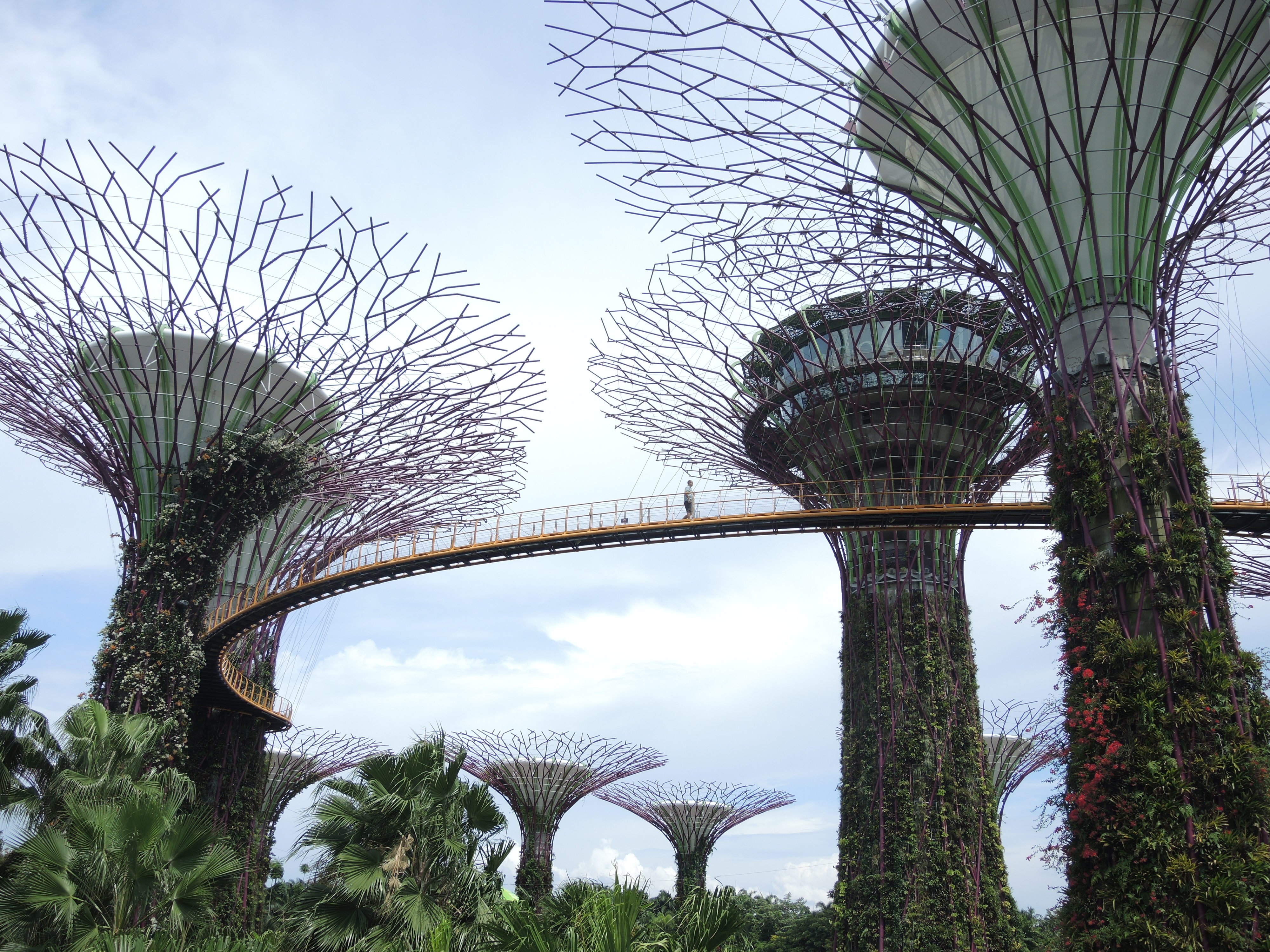 Singapore Photos
